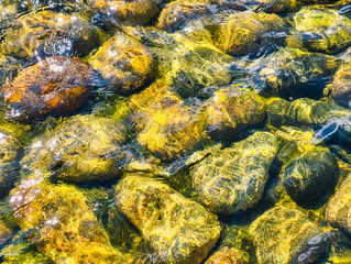 Sparkling Green Stones Under Crystal Clear Water. Vibrant High-Resolution Image for Wallpapers, Digital Marketing, Social Media, and Nature-Inspired Projects. Natural Background 