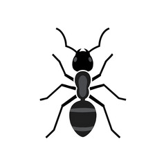 A simple, top-down illustration of a single black ant, showcasing its body structure.