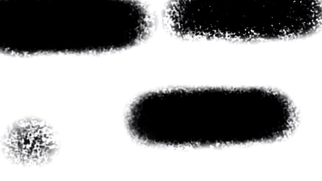Black and white brush transition