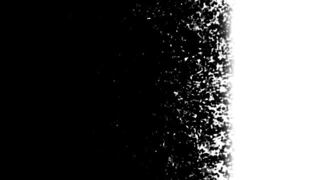 Black and white brush transition
