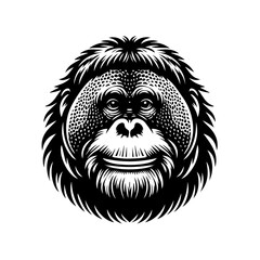 Fototapeta premium Detailed orangutan face illustration isolated on white background with fur details