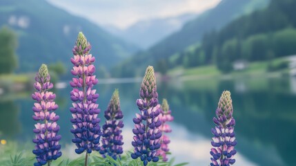 Breathtaking View of Colorful Lupine Flowers in Front of a Serene Mountain Lake Surrounded by Lush Green Hills under a Soft Misty Sky