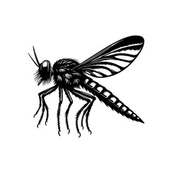 Obraz premium Detailed fly illustration isolated on white background with intricate details