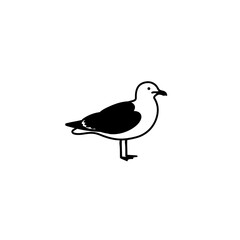 Seagull Standing on One Leg A Simple yet Captivating Illustration
