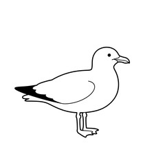 Simple Line Drawing of a Seagull in Profile Against a White Background
