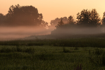 Piękny mglisty poranek, w ciepłych pomarańczowych kolorach, letnia łąka.