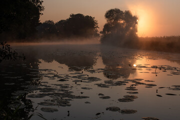 Mglisty poranek na rzeką, tło natury.  © Elżbieta Kaps