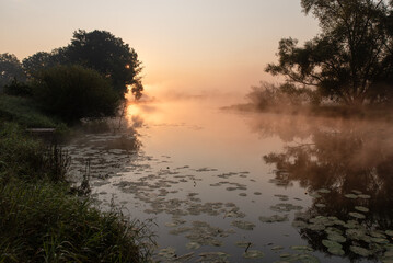 Mglisty poranek na rzeką, tło natury.  © Elżbieta Kaps