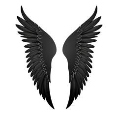 Obraz premium eagle vector illustration eagle vector illustration Black Silhouette of Angel Wings Spread on Transparent Background