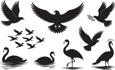 Obraz premium Diverse Bird Silhouettes Collection Featuring Eagles, Doves, Swans, Flamingos, and Peacocks