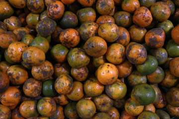local orange in market