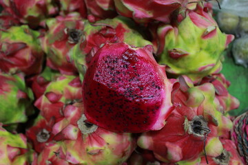 dragon fruit on a branch