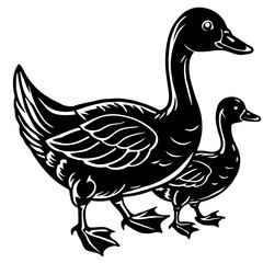 duck isolated on white background
