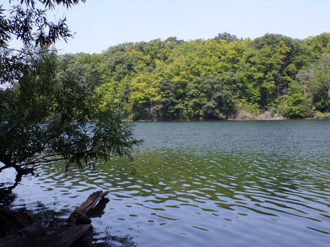 Summer landscape with lake in the forest