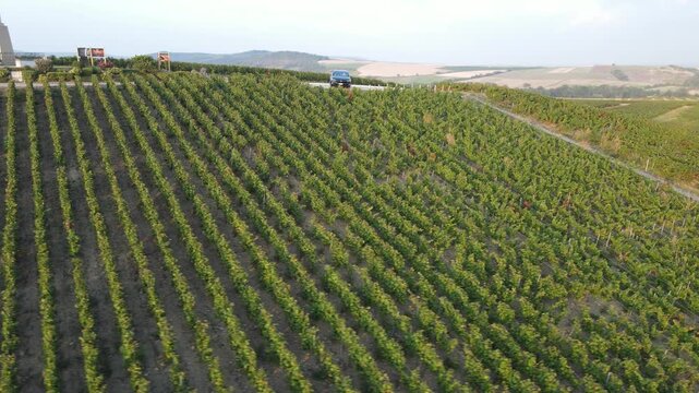 Champagne Vineyard from Above &ndash; Stunning Drone Footage of French Hills and Vines