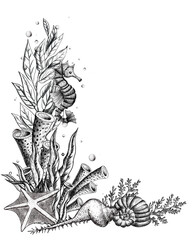 Graphic Sea Ornament ,Black and white, linear hand drawing, marine animals and plants