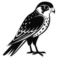 bird of prey
