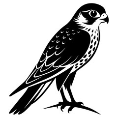 bird of prey