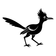 Obraz premium silhouette of a bird