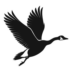 Fototapeta premium silhouette of a bird