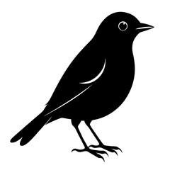crow silhouette