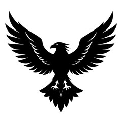 eagle in fly