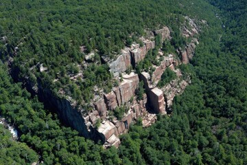 High-angle view of a rocky cliff face rising amidst a dense forest