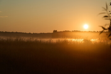 moody and golden sunset over meadow in Pomerania in Poland.