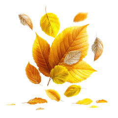 Obraz premium Autumn leaves in motion, vibrant golds and muted tones