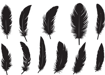 Vector collection of black feather silhouettes set