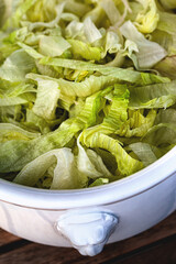 Lettuce leaves for the brunch