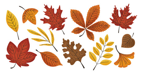Fototapeta premium Hand-drawn fall leaves with texture. Autumn decoration concept. Horse chestnut, white oak, ginko, red maple, sycamore, birch, sweet gum tree, beech leaf.
