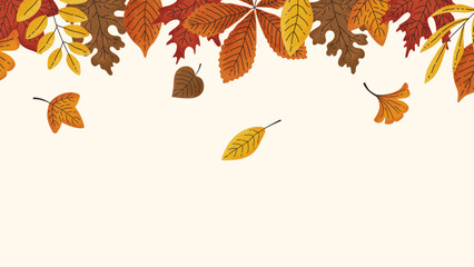 Hand drawn autumn background. A frame of fall leaves. Decoration for Thanksgiving and Harvest Day. Horse chestnut, white oak, ginko, red maple, sycamore, birch, sweetgum tree, beech leaf.