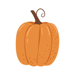 Isolated hand-drawn pumpkin for Thanksgiving decoration and stickers. Cute cartoon harvest. Autumn concept.