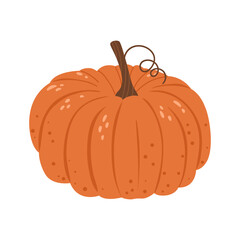 Isolated hand-drawn pumpkin for Thanksgiving decoration and stickers. Cute cartoon harvest. Autumn concept.