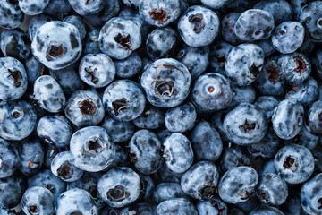 Blueberry. Fresh blueberries texture background.