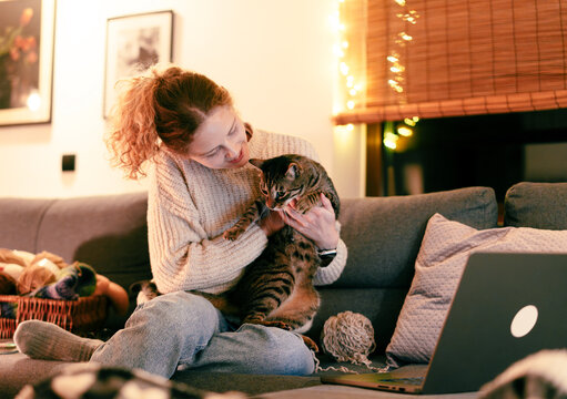 Young woman spending cozy winter evening at home on the sofa playing with her gray cat . Winter holidays, Christmas and online surfing concept