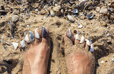 Women's funny feet with shells on nails