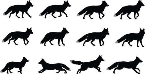Fox silhouette walking running sequence, animal gait cycle illustration, black fox motion poses, biomechanics animation reference, wildlife movement study