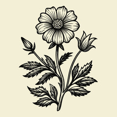 vector illustration of a flower