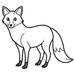 fox vector illustration