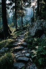 A serene forest with lush green moss-covered rocks and sunlight filtering through the trees