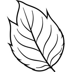 black and white silhouette of a leaf