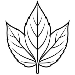 leaf silhouette vector