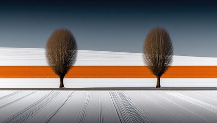 Two bare winter trees stand sentinel on a snow-covered landscape, divided by an orange band