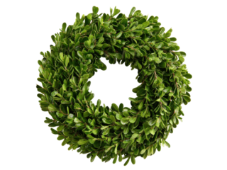 Lush green boxwood wreath circular foliage decoration leaves, Isolated, Png Transparent Background