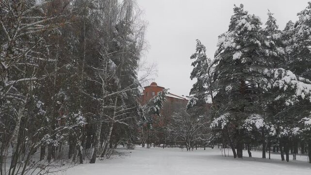 After a snowfall, everything is covered with snow. Pedestrians trampled a path among the snowdrifts. Footprints in the snow. Nearby are firs, birches, pines and red brick buildings. Cloudy winter