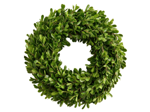 Lush green boxwood wreath circular foliage decoration leaves, Isolated, Png Transparent Background
