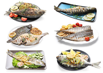 Fried fish. Dishes isolated on white, set