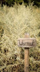 nature photography, garden, apples, grapes, field